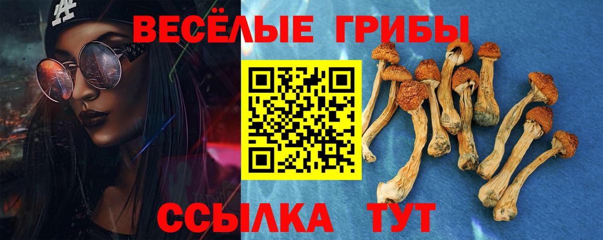 Майский  закладка  Вход с VPN  Псилоцибиновые грибы MAGIC MUSHROOMS 